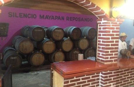 Mayapan Traditional Agave Distillery