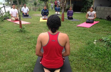 Shree Yoga Retreat