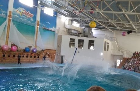 Dolphinarium Oskar