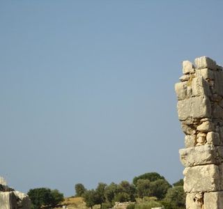 The Necropolis