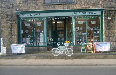 Pots & Paws