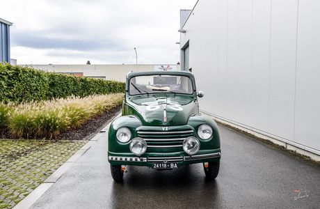 Topolino