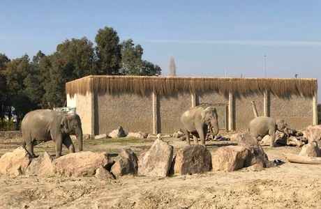 Izmir Wild Life Park