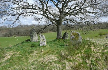 Lundin Farm Stone Circle