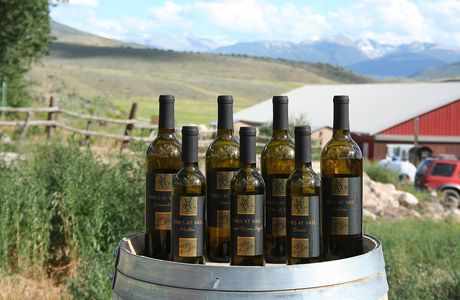 Vines At Vail Winery