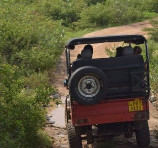 Ella Cabs Taxi Service