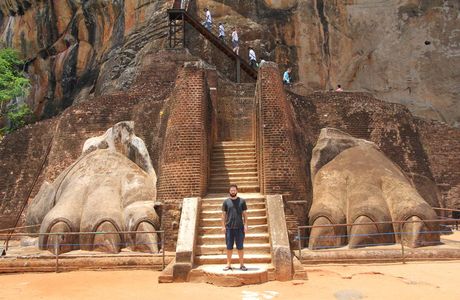 The Lion's Paws - Sigiriya