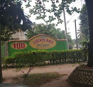 Lucky Land Spice & Herbals