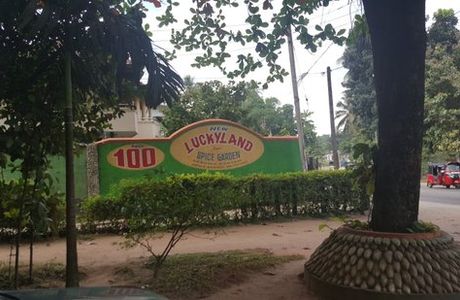 Lucky Land Spice & Herbals