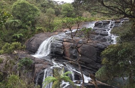 Samarakoon Tours