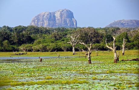 Yala National Park
