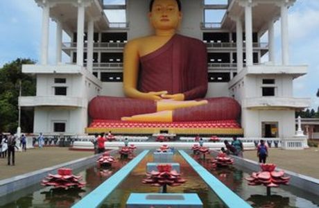 Dilro Travels & Tours