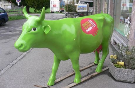 Swiss Mountain Market Unique Regional Souvenirs