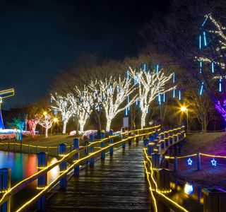 Ulsan Grand Park