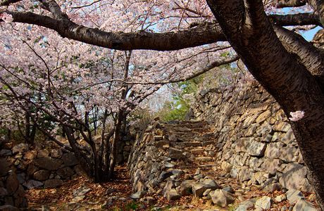 Seosaengpo Japanese Fortress