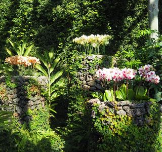 Yeomiji Botanical Garden