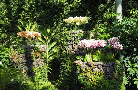 Yeomiji Botanical Garden