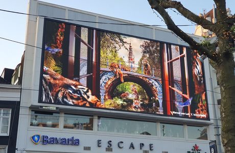 Escape Amsterdam