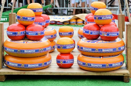 Cheese Market Edam