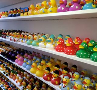 Amsterdam Duck Store