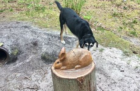 Sommeltjespad