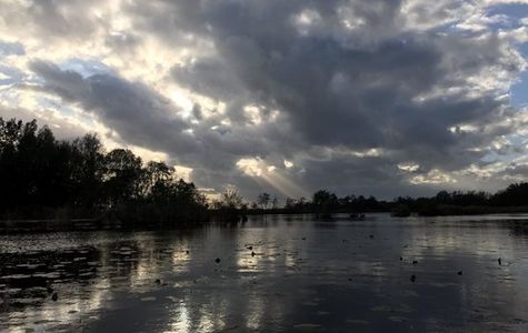 Spiegelplas en Blijkpolderplas 1