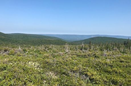 Mica Hill Trail