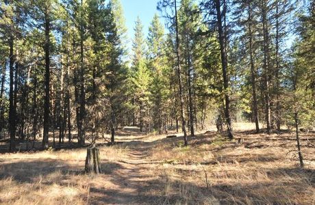 Johnstone Creek Provincial Park
