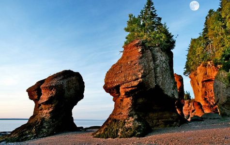 Bay Of Fundy 1
