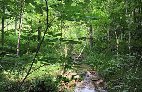 Pretty River Valley Provincial Park