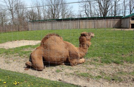 Brantford Twin Valley Zoo