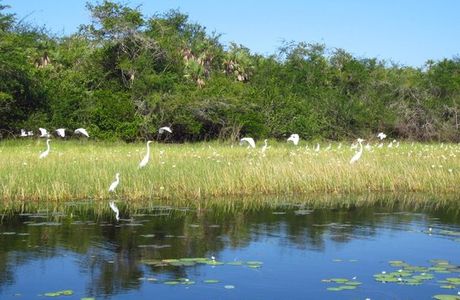 Crooked Tree Wildlife Sanctuary