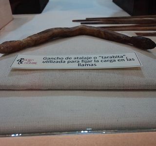 Museo del Hombre en Antofagasta