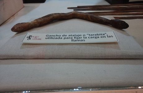 Museo del Hombre en Antofagasta