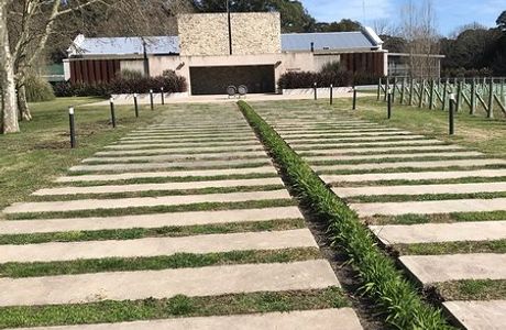 Trapiche Costa y Pampa