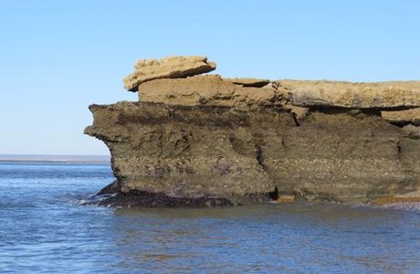 Reserva Provincial Peninsula Puerto San Julian