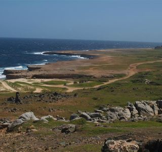 Aruba Trail Runner's