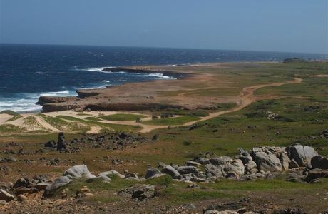 Aruba Trail Runner's