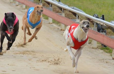 North West Greyhound Racing Club