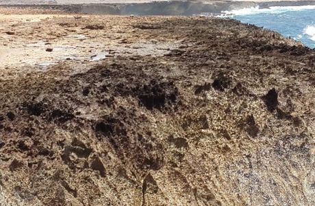 Grapefield Climbing Area