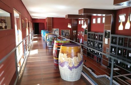 Museo de la Vid y el Vino