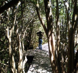 Paseo de Los Pioneros