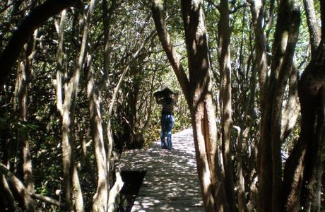 Paseo de Los Pioneros