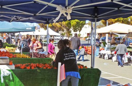 Farmer's Market