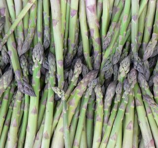 Okanagan Asparagus Farm