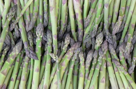 Okanagan Asparagus Farm