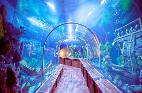 Aquamundo Sambil Santo Domingo