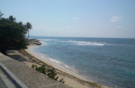 La Aleta