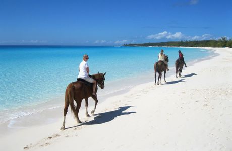 Rais Ranch - Horse back riding on the beach