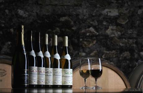 Domaine Pascal Henry
